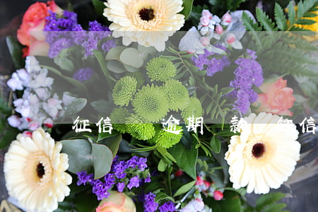 征信幾筆逾期貸款嗎(征信幾筆逾期貸款嗎)