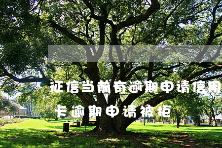 征信当前有逾期申请信用卡会被拒绝吗（信用卡逾期申请被拒）