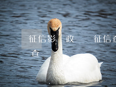 征信影響政審嗎(征信查詢網(wǎng)上查詢)