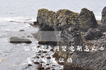 征信很多网贷逾期怎么办(网贷多了没有逾期怎么处理征信)