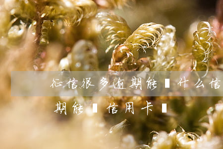 征信很多逾期能辦什么信用卡(征信上有過逾期能辦信用卡嗎)