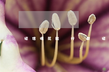 征信很花能銀行貸款嗎 征信很花能銀行貸款嗎