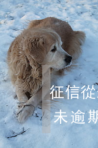 征信從未逾期的賬戶明細(xì)（征信上從未逾期的賬戶）