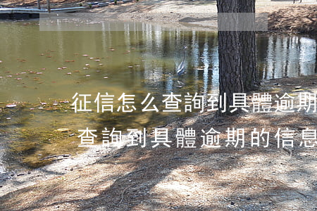征信怎么查詢到具體逾期的信息-征信怎么查詢到具體逾期的信息呢