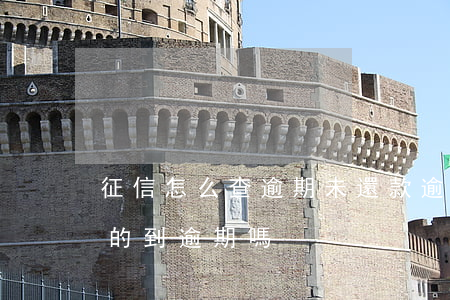 征信怎么查逾期未還款(逾期還款了征信還查的到逾期嗎)