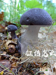 征信怎么能洗白(征信怎樣才能洗白)