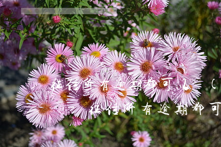 征信所有逾期都可以協(xié)商還本金嗎-征信所有逾期都可以協(xié)商還本金嗎怎么辦