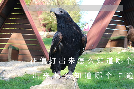 征信打出来怎么知道哪个卡逾期了-征信打出来怎么知道哪个卡逾期了呢