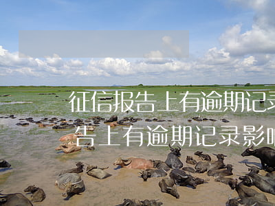 征信报告上有逾期记录影响政审吗-征信报告上有逾期记录影响政审吗怎么办
