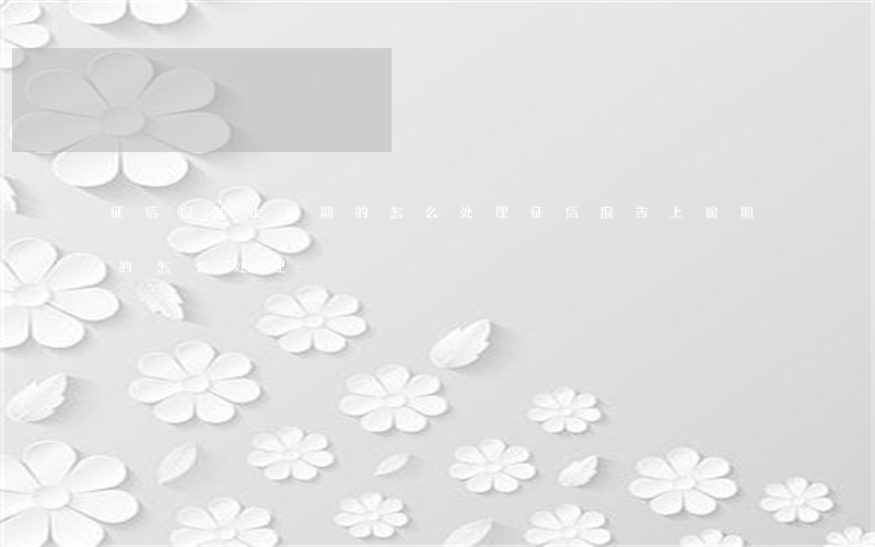 征信报告上逾期的怎么处理(征信报告上逾期的怎么处理)