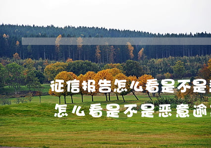 征信报告怎么看是不是恶意逾期-征信报告怎么看是不是恶意逾期了