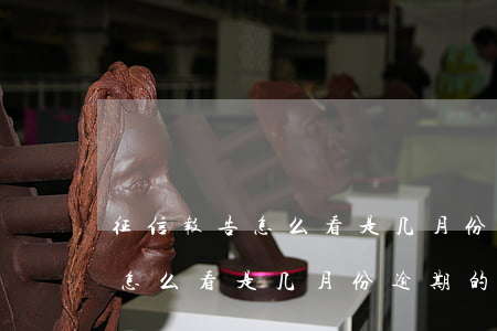 征信报告怎么看是几月份逾期的-征信报告怎么看是几月份逾期的呢