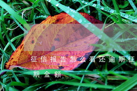 征信报告怎么看还逾期 征信报告怎么看还逾期金额