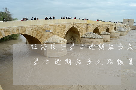 征信报告显示逾期后多久能恢复-征信报告显示逾期后多久能恢复正常