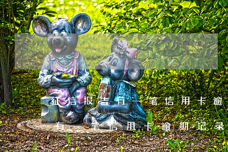 征信报告有一笔信用卡逾期记录-征信报告有一笔信用卡逾期记录