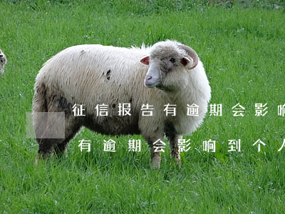 征信报告有逾期会影响到个人吗-征信报告有逾期会影响到个人吗知乎
