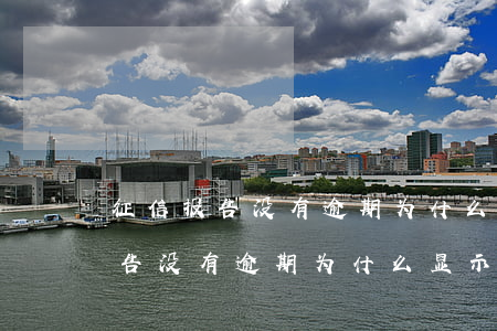 征信报告没有逾期为什么显示信息-征信报告没有逾期为什么显示信息异常