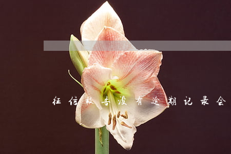 征信报告没有逾期记录会被拒吗-