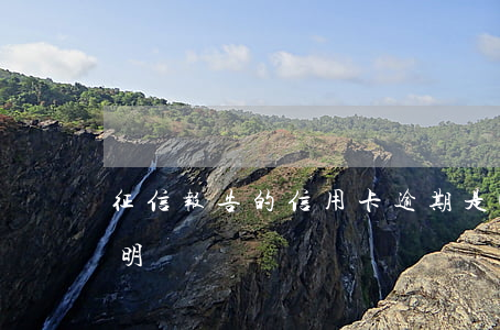 征信报告的信用卡逾期是0(征信用卡逾期说明)