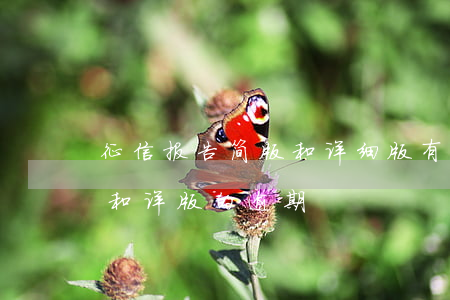 征信报告简版和详细版有什么区别（征信简版和详版的逾期）
