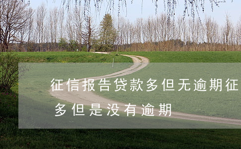 征信报告贷款多但无逾期(征信上贷款记录太多但是没有逾期)