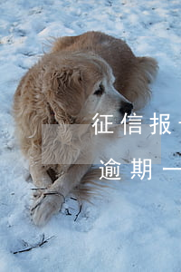 征信报告逾期一个月影响政审吗-征信报告逾期一个月影响政审吗知乎