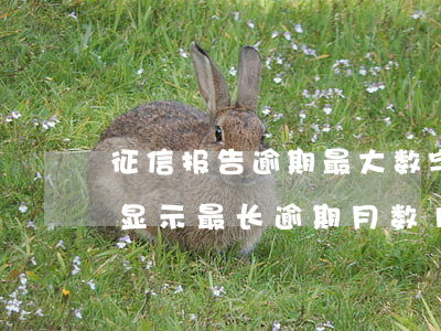 征信报告逾期最大数字显示是多少(征信报告显示最长逾期月数1)