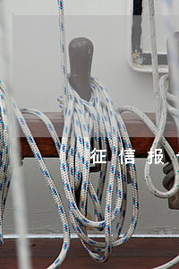 征信报告逾期的账户数和月份数-