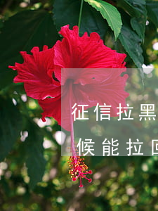 征信拉黑需要逾期多久(征信拉黑以后,什么時候能拉回)