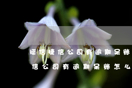 征信捷信公司有逾期呆账怎么解决-征信捷信公司有逾期呆账怎么解决呢
