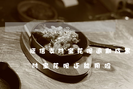 征信支付宝花呗逾期成黑户(征信黑名单了支付宝花呗还能用吗)