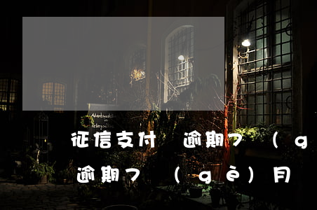 征信支付寶逾期7個(gè)月(征信支付寶逾期7個(gè)月)