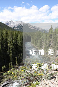 征信无当前逾期能贷款吗（人行征信报告当前无逾期）