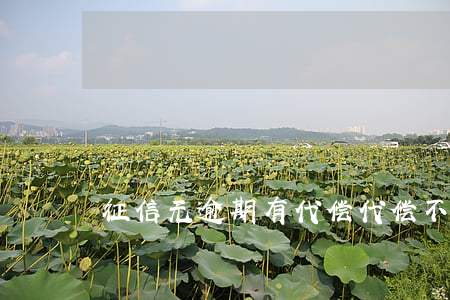 征信无逾期有代偿(代偿不还征信多久消除)