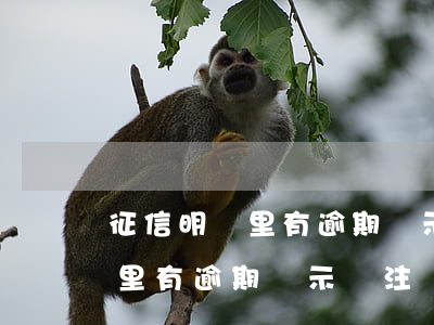 征信明細里有逾期顯示關注級別-征信明細里有逾期顯示關注級別怎么回事