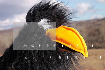 征信是否影響孩子上學(xué)(征信會(huì)影響孩子上學(xué)?)