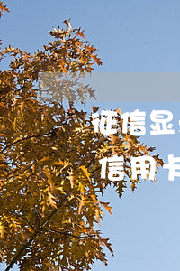 征信显示信用卡逾期2次严重吗(征信报告中信用卡逾期两次能贷款吗)