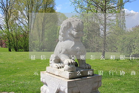 征信显示呆账怎么和银行协商还款-征信显示呆账怎么和银行协商还款呢