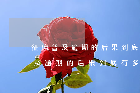 征信普及逾期的后果到底有多嚴重-征信普及逾期的后果到底有多嚴重啊