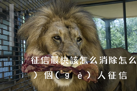 征信最快該怎么消除(怎么樣最快恢復(fù)個(gè)人征信)