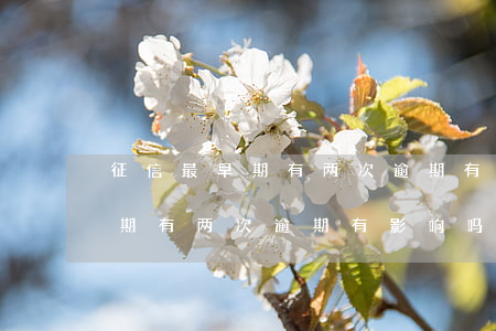 征信最早期有两次逾期有影响吗-征信最早期有两次逾期有影响吗知乎