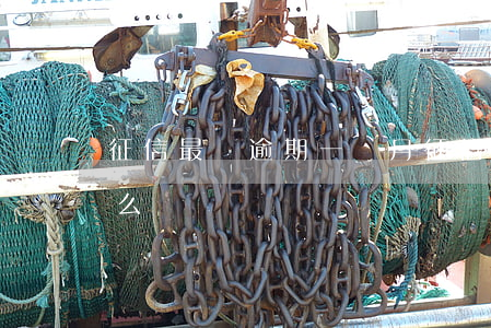 征信最長逾期一個月(征信最長逾期一個月怎么辦)