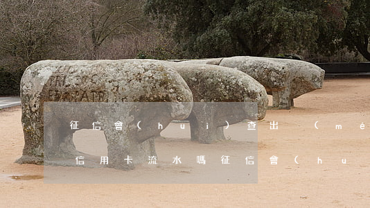 征信會(huì)查出沒(méi)有逾期信用卡流水嗎 征信會(huì)查到銀行卡流水賬嗎