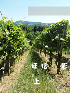 征信會影響孩子上學嗎 個人征信會影響孩子上學嗎