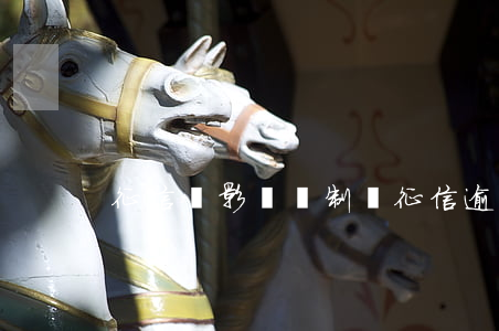 征信會影響編制嗎（征信逾期影響考編嗎）