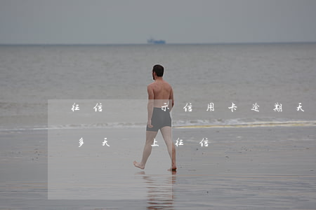 征信會顯示信用卡逾期天數(shù)(逾期多天會上征信)