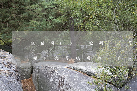 征信有13條逾期記錄可以考編嗎-征信逾期9次可以考公務(wù)員嗎