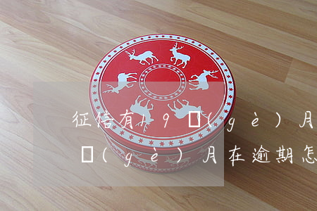 征信有19個(gè)月在逾期(征信有19個(gè)月在逾期怎么辦)