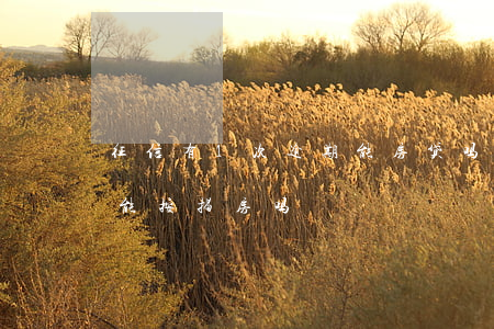 征信有1次逾期能房贷吗(征信有过一次逾期能按揭房吗)