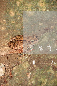征信有2次小額逾期會(huì)影響貸款嗎-征信有2次小額逾期會(huì)影響貸款嗎知乎
